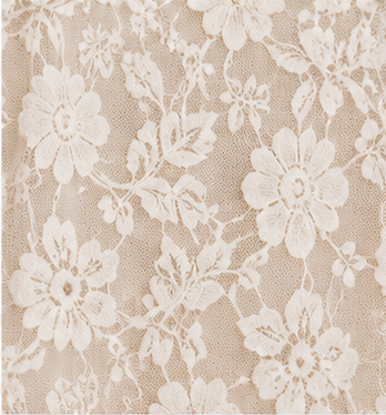 Romantic Ivory Sheer Lace Blouse