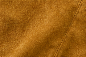 Golden Suede Crop Top