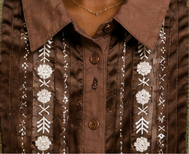 Mocha Embroidered Puff Sleeve Blouse