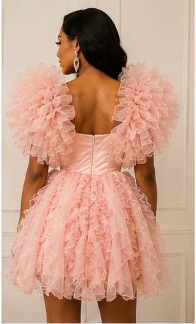 Blush Couture Ruffle Organza Mini Dress