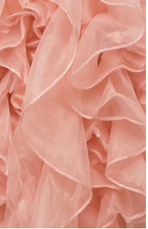 Blush Couture Ruffle Organza Mini Dress