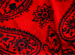 Red Rebel Paisley Tassel Scarf