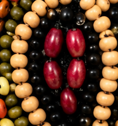 Savanna Mosaic Beaded Statement Collar Necklace